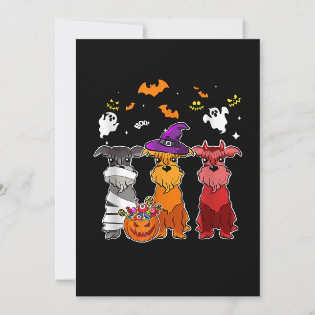 Three Schnauzer Hexenhut Niedliche Halloween-Gesch (Vorderseite)