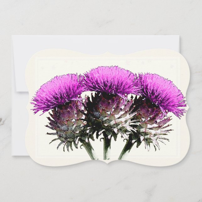 Three Scottish Thistles Karte (Vorderseite)
