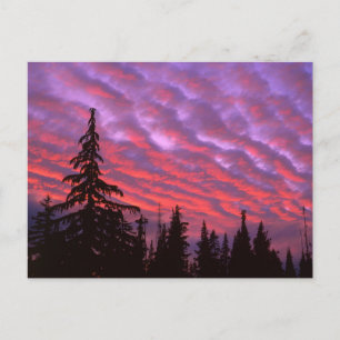 Three Sisters Wilderness, Oregon Postkarte