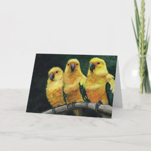 "Three Sun Conures" Bird Art Grußkarte Karte