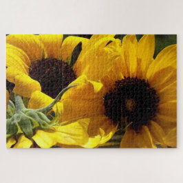 Three Sunflowers Botanical Art Fotograf