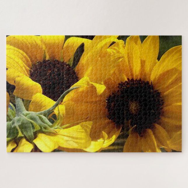 Three Sunflowers Botanical Art Fotograf (Horizontal)