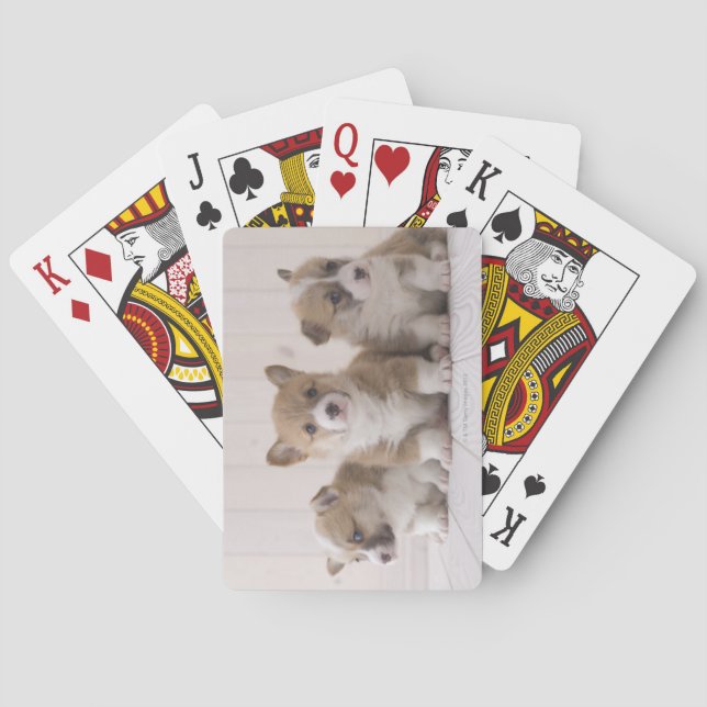 Three Welsh Corgi Spielkarten (Rückseite)
