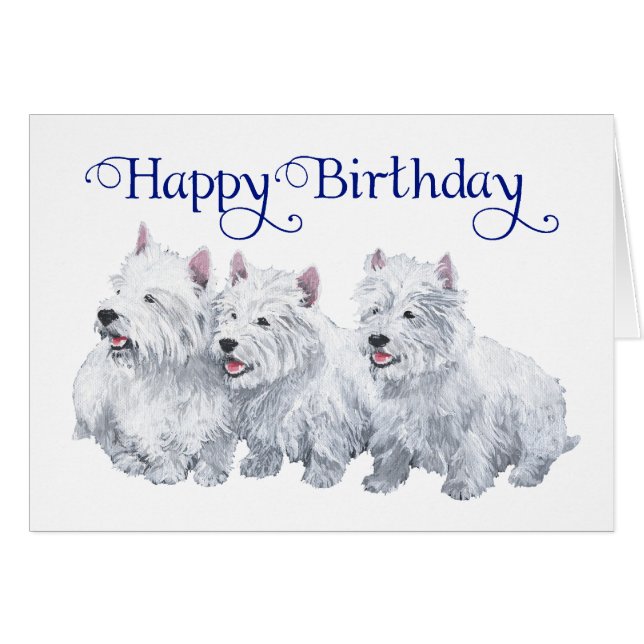 Three West Highland White Terriers (Vorderseite (Horizontal))