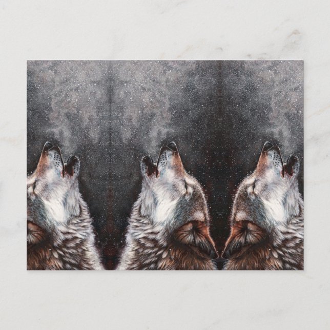 Three Wolves Howling Postkarte (Vorderseite)