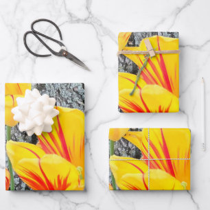 Three Yellow Tulips Sequel / Geschenkpapier Set