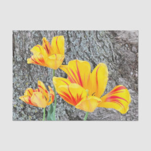 Three Yellow Tulips Sequel / Seidenpapier