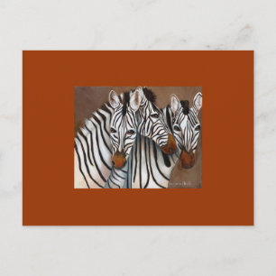 Three Zebras Postkarte