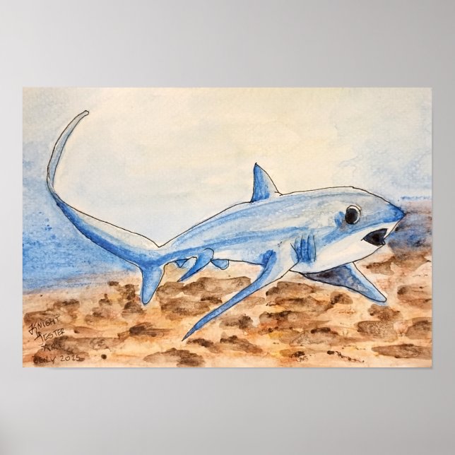 Thresher Shark Poster (Vorne)
