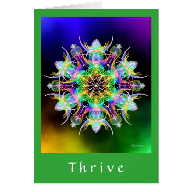Thrive (Vorne)