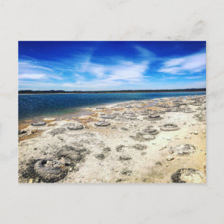 Thrombolites, Lake Thetis Western Australien Postkarte