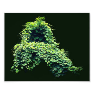 Throne-Wildleafy-Reben 8x10 der Natur Fotodruck