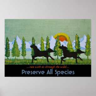 Through the Wild Poster