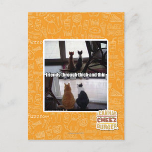 Through thick and thin postkarte