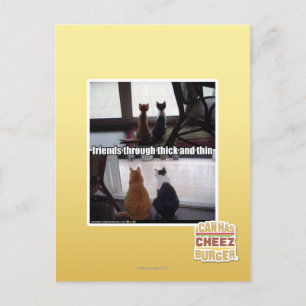 Through thick and thin postkarte