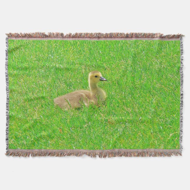 Throw Blanket Decke (Vorderseite)