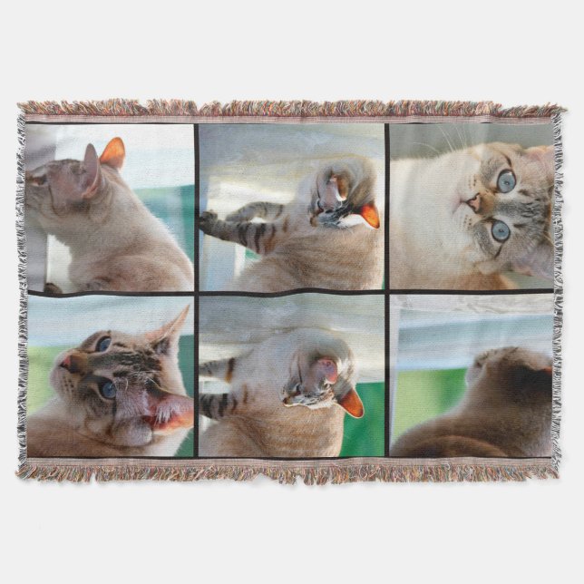 Throw Blanket/Silver Tabby Siamese Decke (Vorderseite)