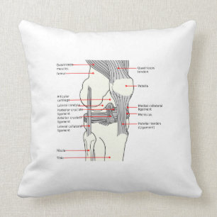 Throw Kissen Anatomisches Diagramm Menschenrechtsk