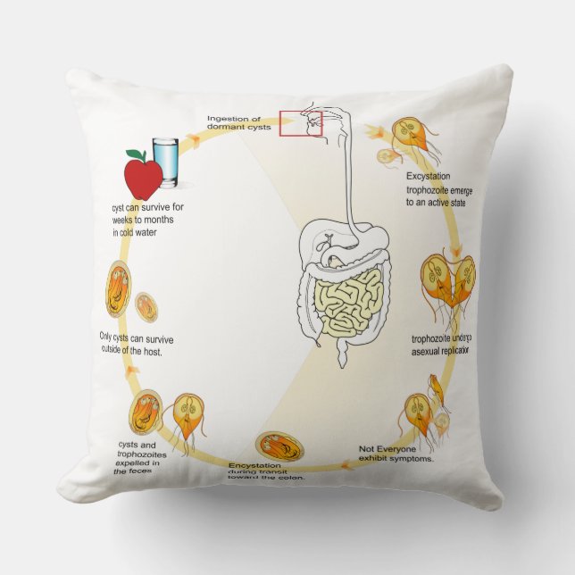 Throw Kissen Diagramm Giardia Life Cycle Parasit (Vorderseite)