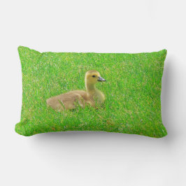 Throw Pillow   Canada Goose Lendenkissen