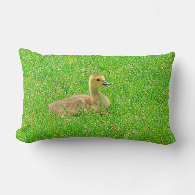 Throw Pillow   Canada Goose Lendenkissen (Vorderseite)