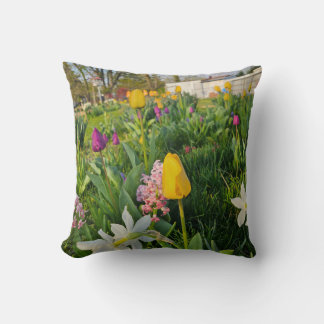 Throw Pillow Kissen