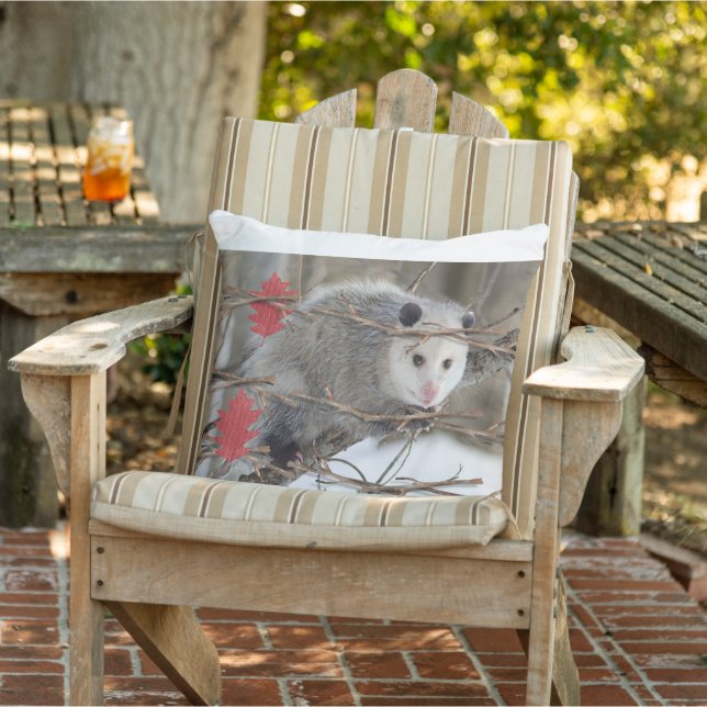 Throw Pillow Opossum Nature Kissen (Stuhl )