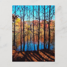 Thru Trees Postkarte