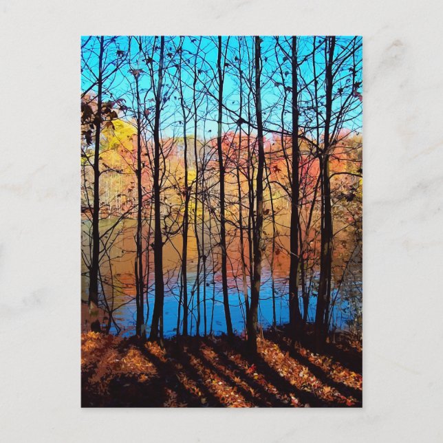 Thru Trees Postkarte (Vorderseite)