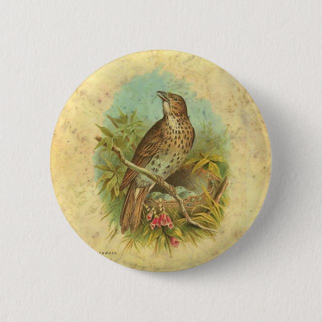 Thrush Vintag Button (Vorderseite)