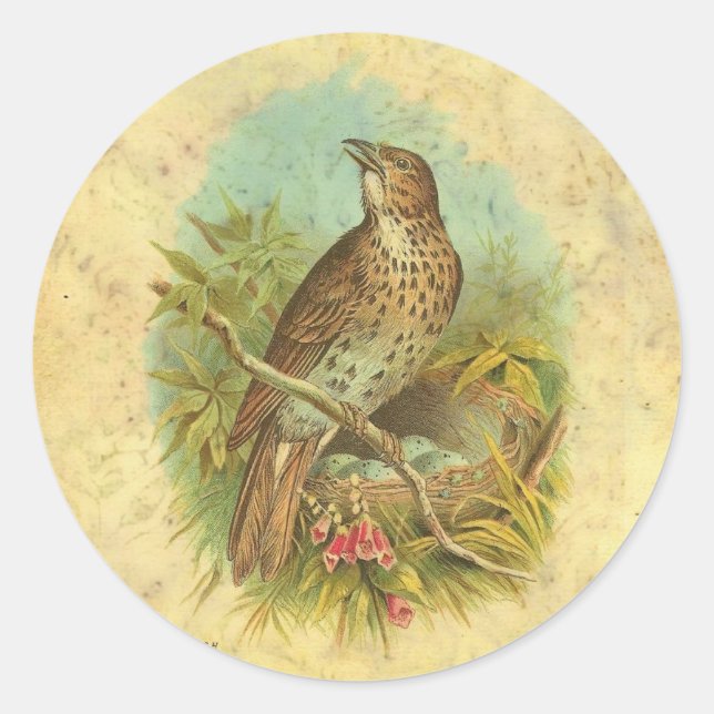 Thrush Vintag Runder Aufkleber (Vorderseite)