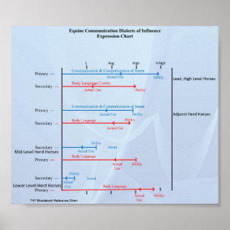 THTBloodstock Equine Communication Chart Poster