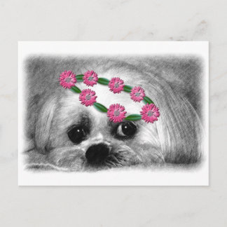 Thumbellina. Ich bin ein schöner Maltese Postkarte