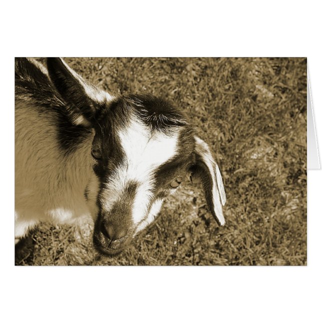 Thumblina (Devant horizontal)