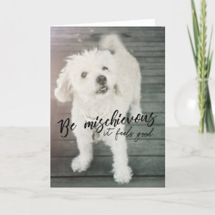 THUMPER DOG Grußkarte Dankeskarte