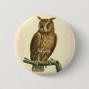 Thunder_Cove Button
