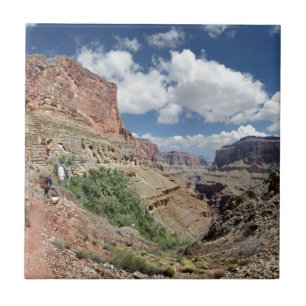 Thunder River Falls - Grand Canyon - Arizona Fliese