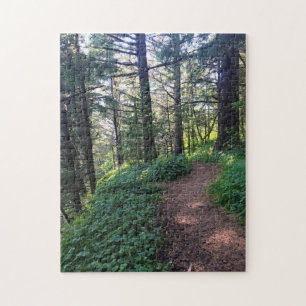 Thunder Rock Cove Trail, Samuel H Boardman, Oregon