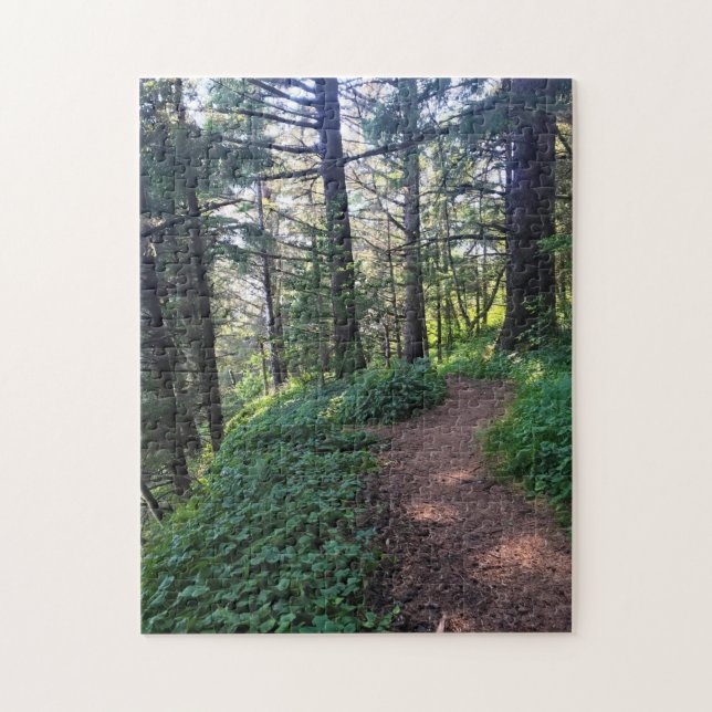 Thunder Rock Cove Trail, Samuel H Boardman, Oregon (Vertikal)