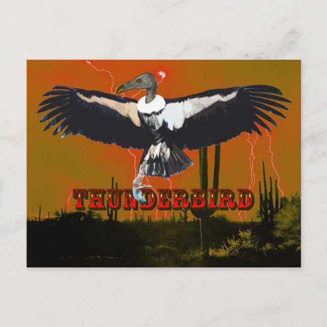 Thunderbird Postcard Postkarte (Vorderseite)