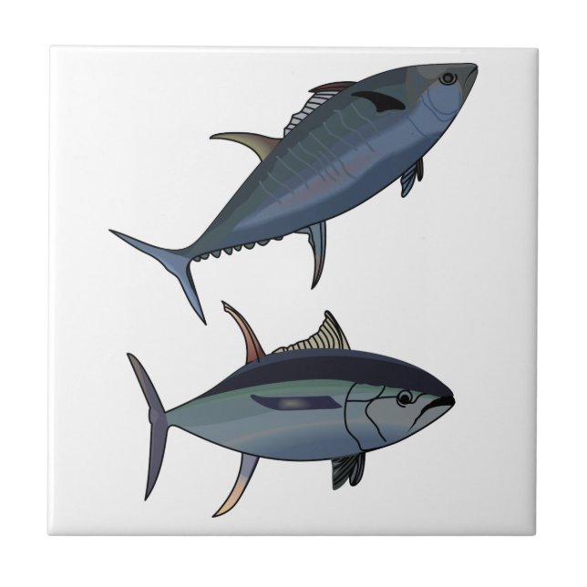 Thunfisch Fliese (Vorderseite)