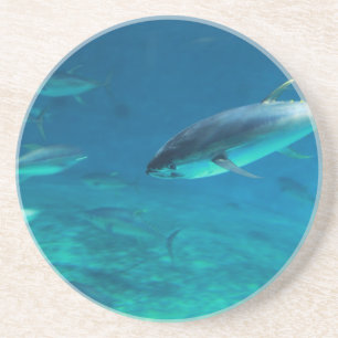 Thunfisch Unterwasser Untersetzer