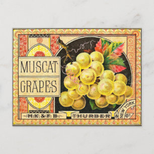 Thurber Muscat Trauben - Vintages Kratetikett Postkarte