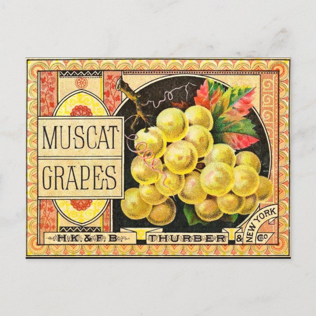 Thurber Muscat Trauben - Vintages Kratetikett Postkarte (Vorderseite)