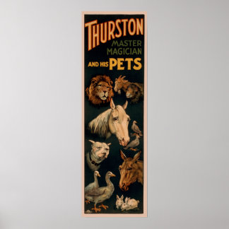 Thurstoner Meistermagier und seine Haustiere Poster