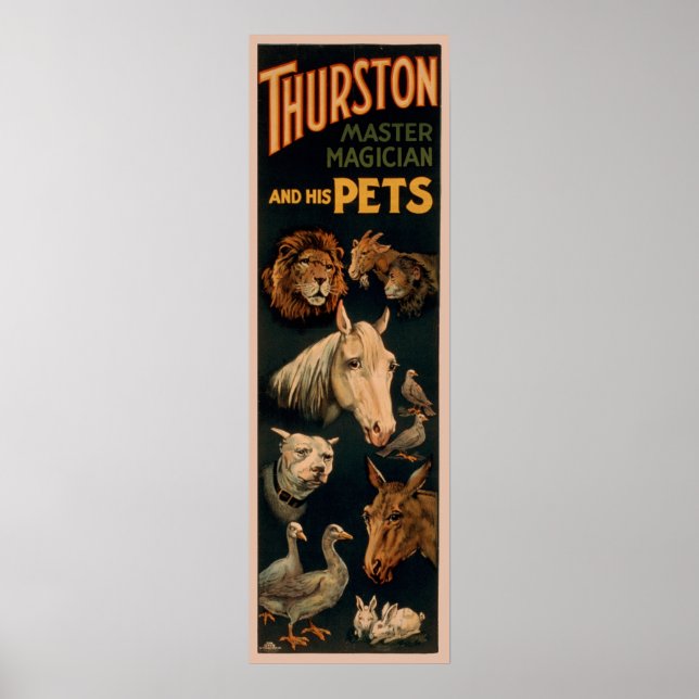 Thurstoner Meistermagier und seine Haustiere Poster (Vorne)