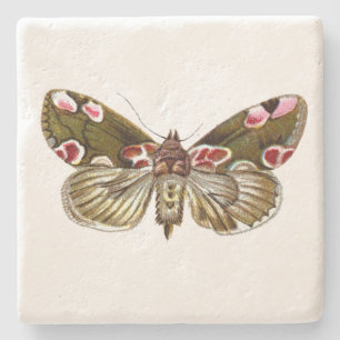 Thyatira batis - The Peach Blossom Moth Steinuntersetzer