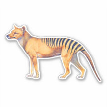 Thylacin (Tasmanischer Tiger)