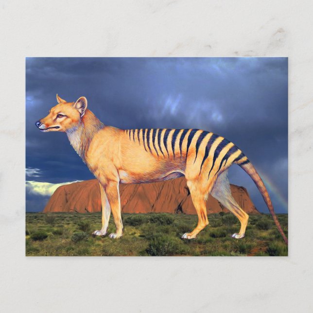 Thylacin (Tasmanischer Tiger) Postkarte (Vorderseite)