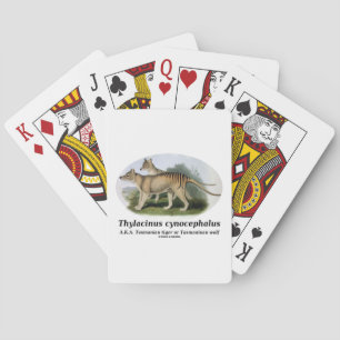 Thylacinus cynocephalus (Tasmanian tiger or wolf) Spielkarten